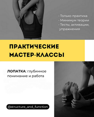 [Александр Волоткевич] Лопатка_ глубинное понимани_0.png